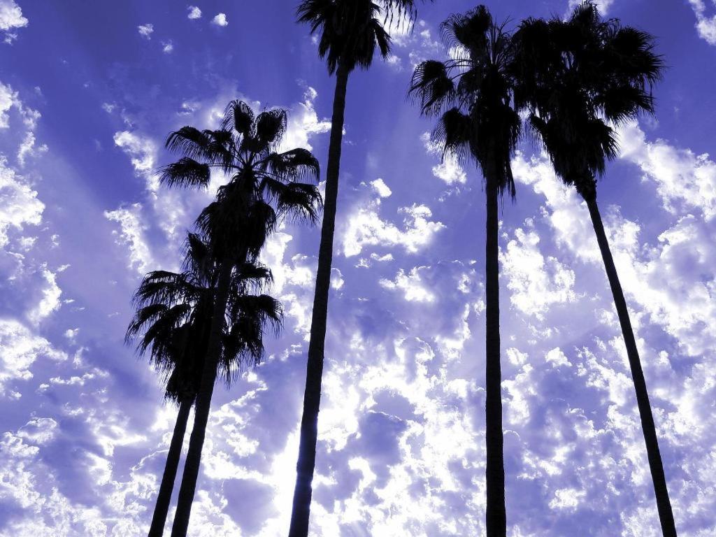 Parker Palm Springs Hotell Eksteriør bilde