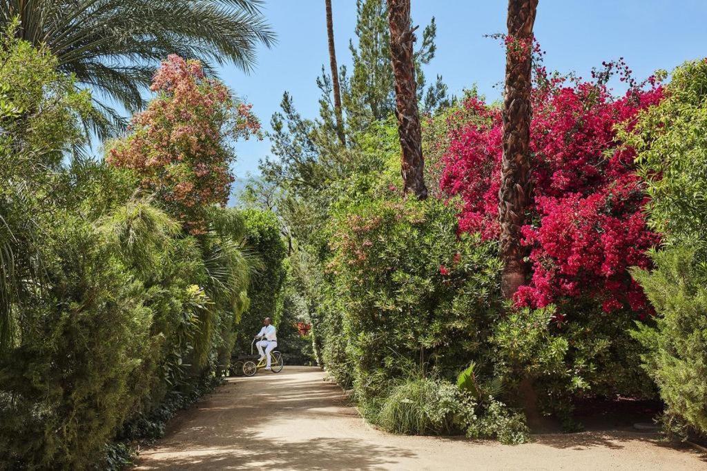 Parker Palm Springs Hotell Eksteriør bilde